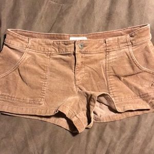 Juniors Brown Hang Ten Shorts